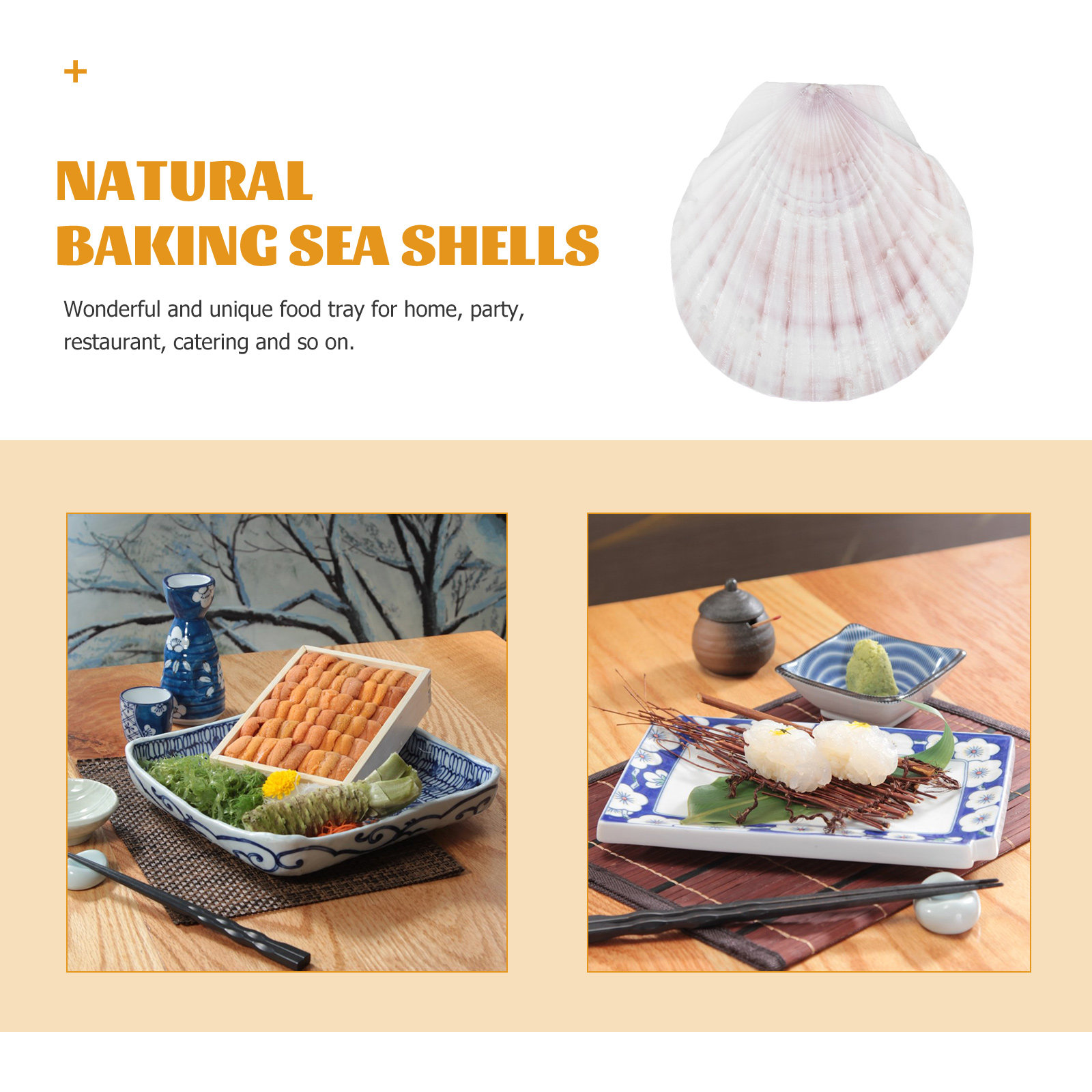 10 Pezzi di Conchiglie Natural - Mom'S Home Cooking recensione e prezzo